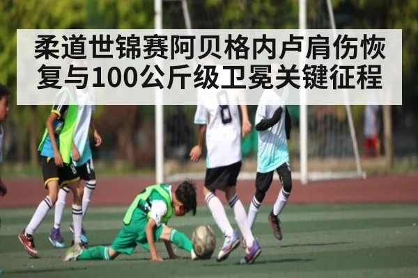 柔道世锦赛阿贝格内卢肩伤恢复与100公斤级卫冕关键征程