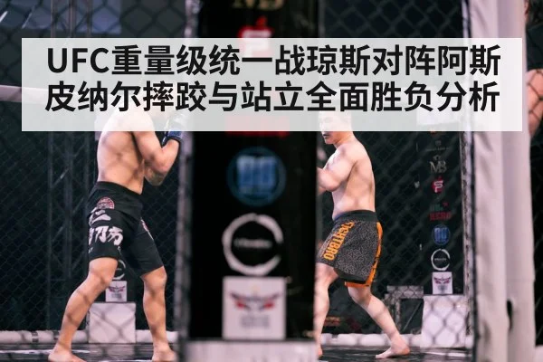 UFC重量级统一战琼斯对阵阿斯皮纳尔摔跤与站立全面胜负分析